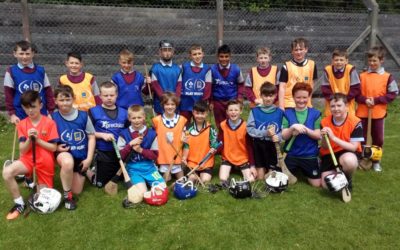 Hurling Blitz