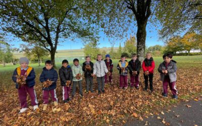 Senior Infants in the Demesne