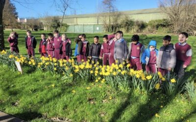 Newsletter 8th March 2026